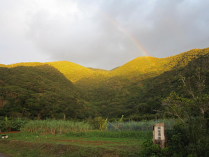 Img_2337_2