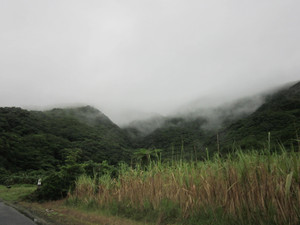 Img_8797