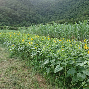 Img_20180712_185716_594