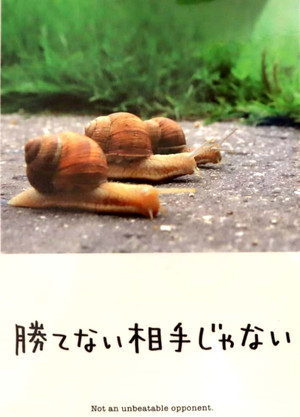20190612_075605