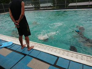 Dscpdc_0002_burst20190704110715872_