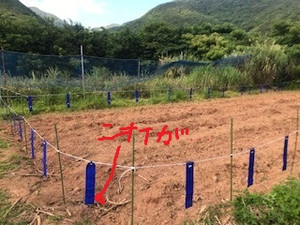 Photo_7
