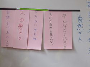 Photo_4