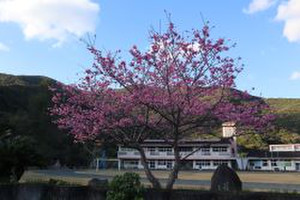 Photo_2