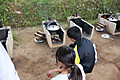 Img_5557 Img_5557
